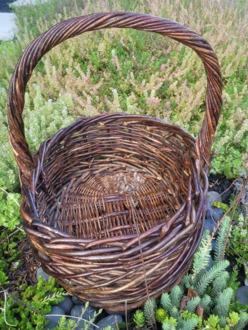 Large Dark Willow Gathering Basket with Arched Twisted Handle Handmade Vintage